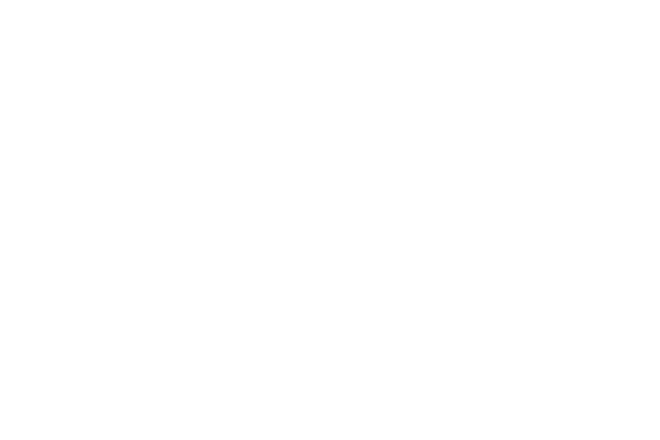 Creative Artistic Event Agency - festival-de-cannes-about-us