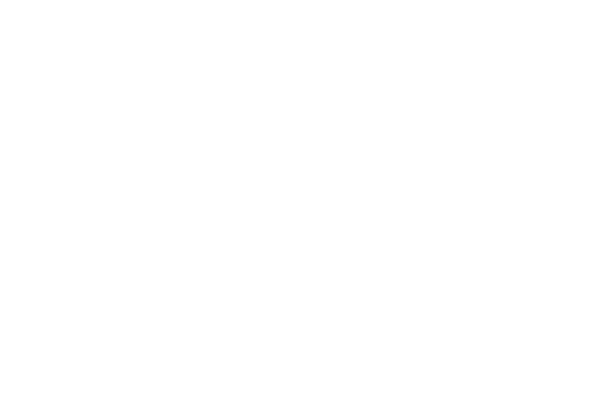 Creative Artistic Event Agency- twiga-about-us